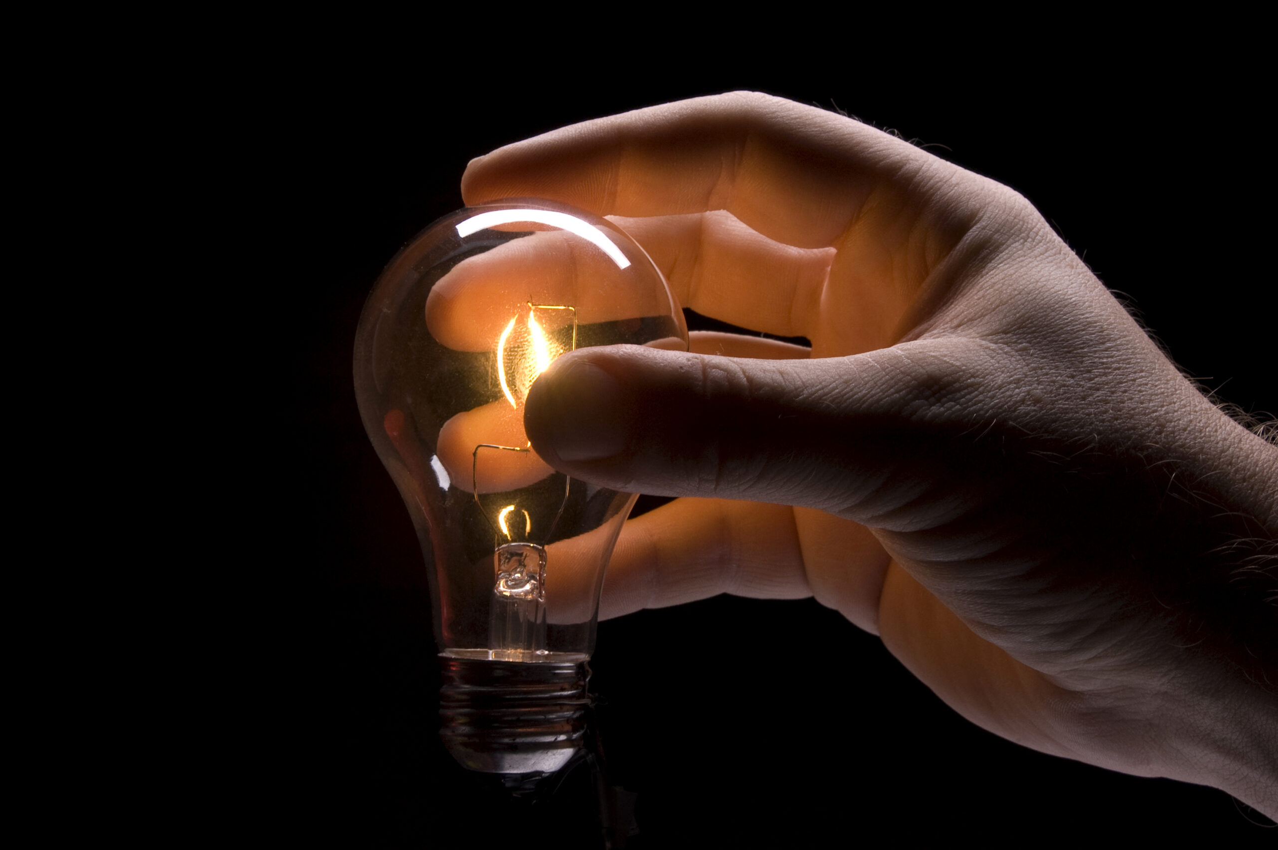 bulb-in-hand